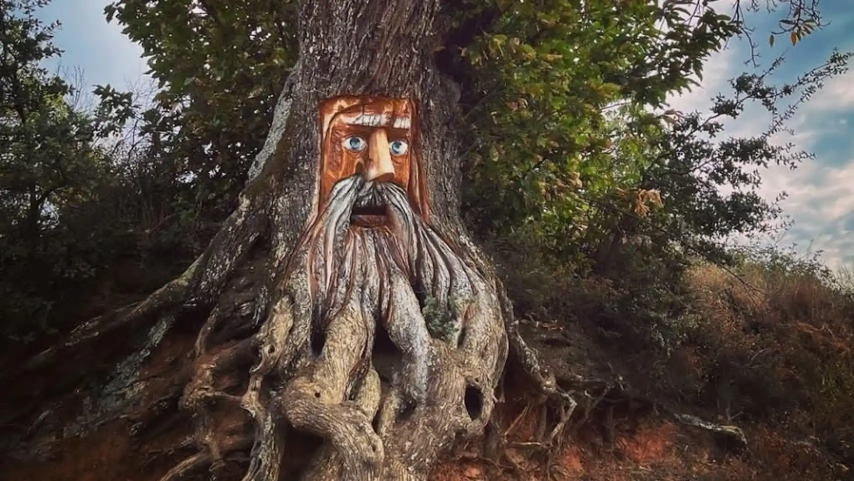 Bosque Encantado