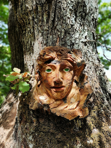 Bosque Encantado