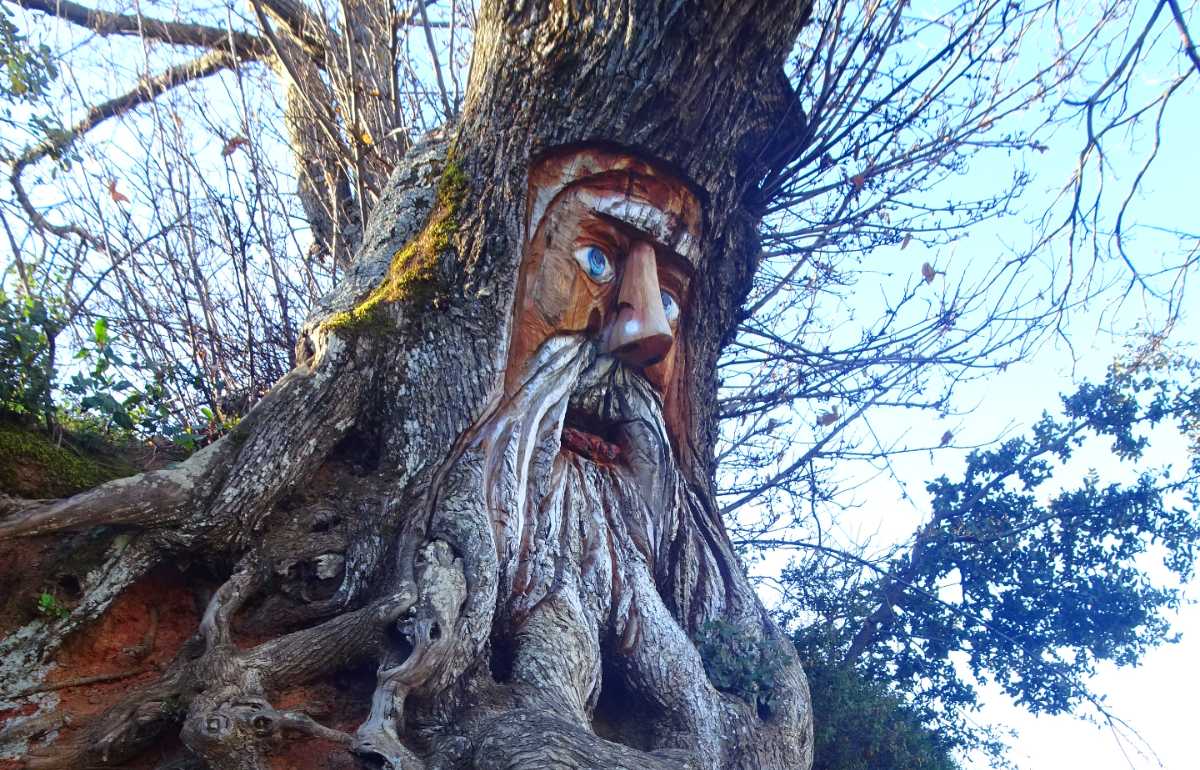 Bosque Encantado