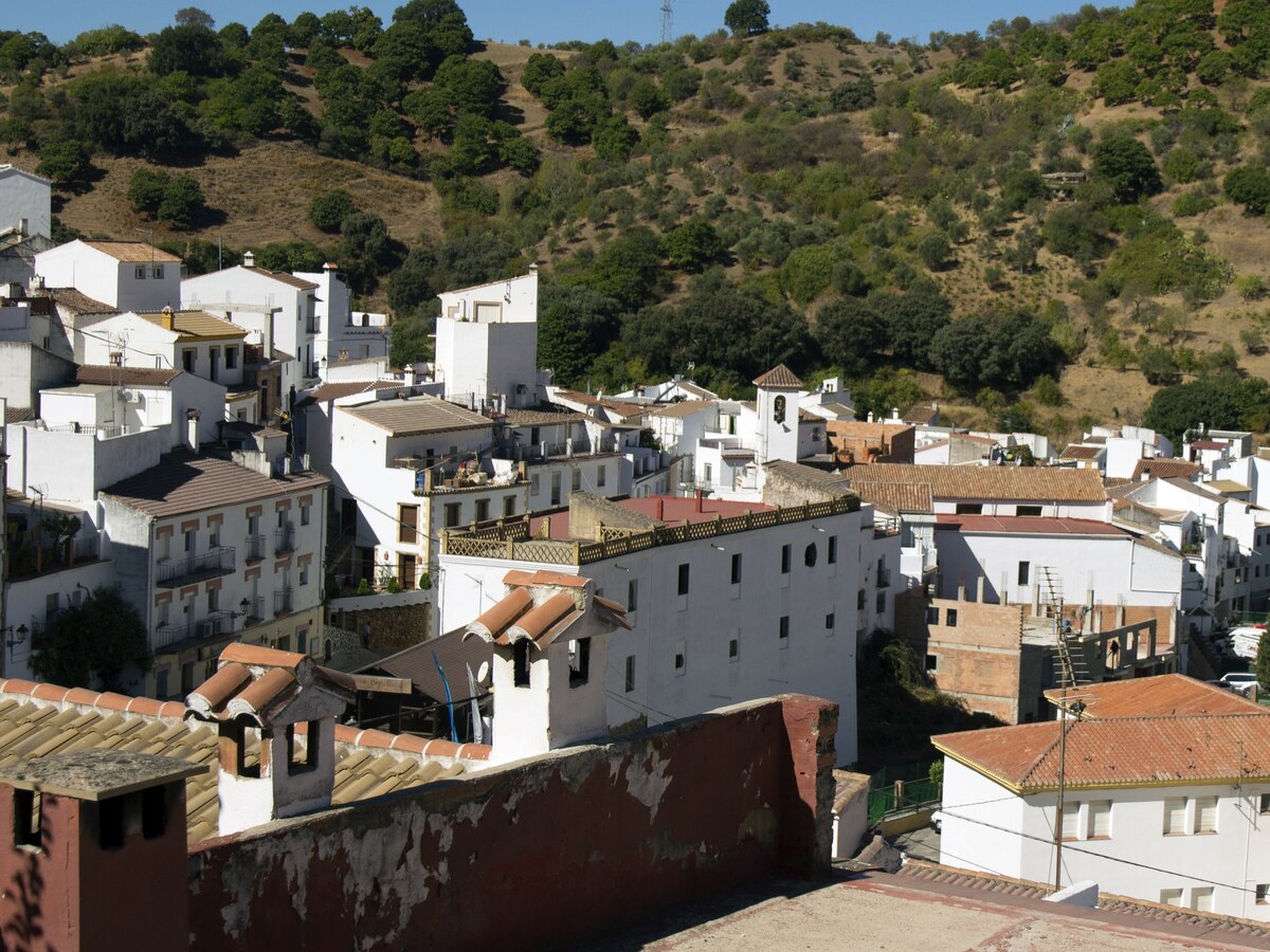Parauta