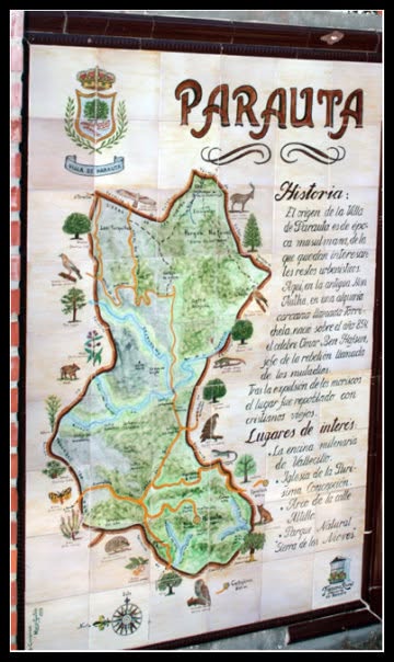 Parauta