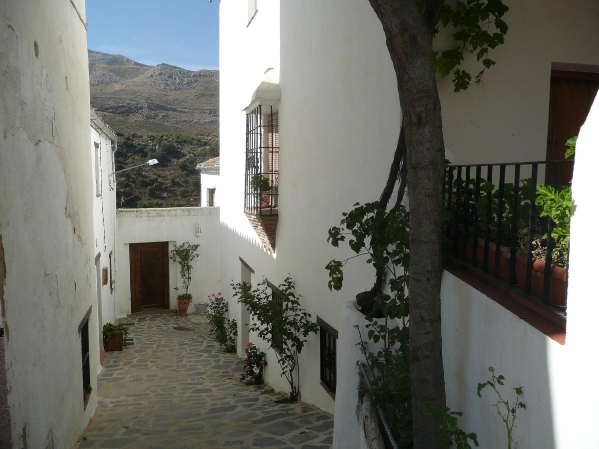 Parauta