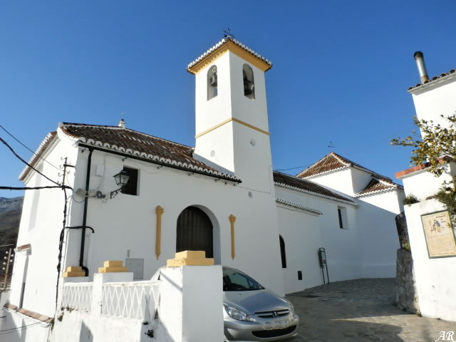 Parauta